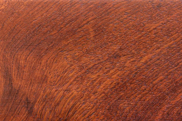 Fundo e textura da madeira Macro Ormosia — Fotografia de Stock