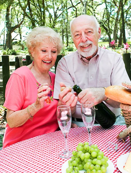 Picnic para parejas mayores — Foto de Stock