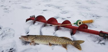 Soğuk havada buz balıkçılığı