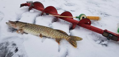 Soğuk havada buz balıkçılığı