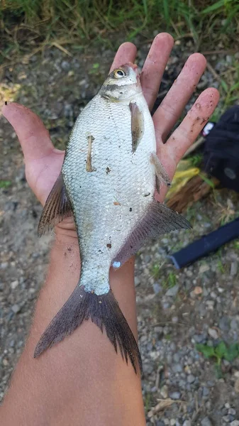 Pesca Fiação Rio — Fotografia de Stock