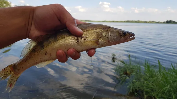 Pesca Fiação Rio — Fotografia de Stock