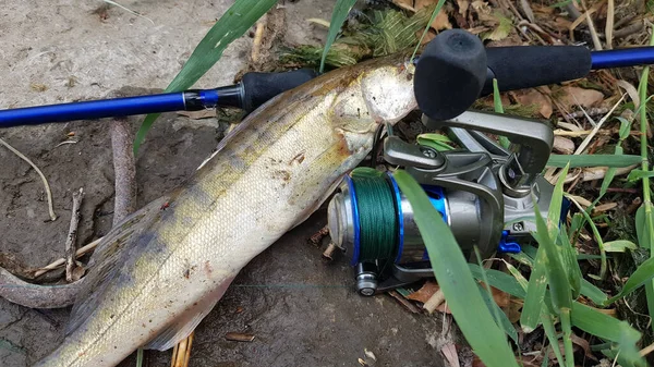 Pesca Fiação Rio — Fotografia de Stock