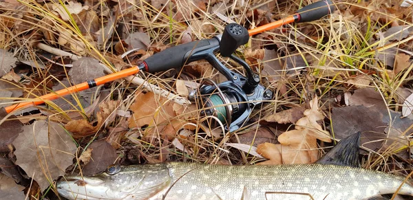 Pesca Filatura Sul Fiume — Foto Stock