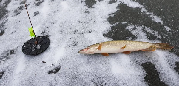 ice fishing in cold weather