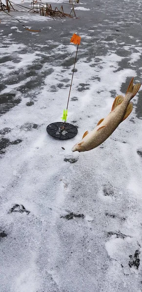 Pesca Gelo Tempo Frio — Fotografia de Stock