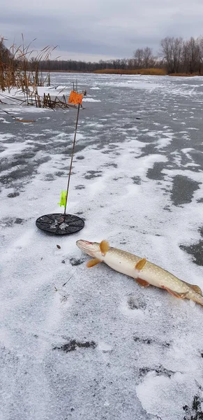 Pesca Hielo Clima Frío — Foto de Stock