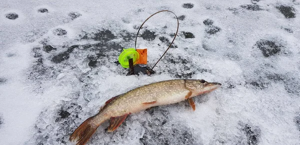 ice fishing in cold weather