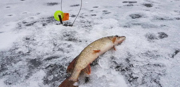 Pesca Hielo Clima Frío — Foto de Stock