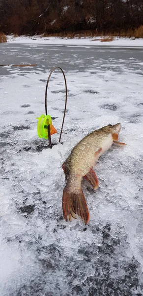 Ice Fishing Cold Weather — Stock Photo, Image