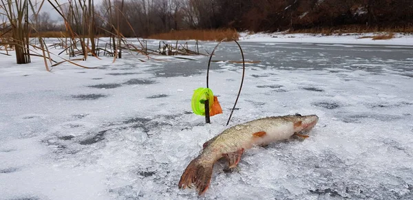 Ice Fishing Cold Weather — Stock Photo, Image