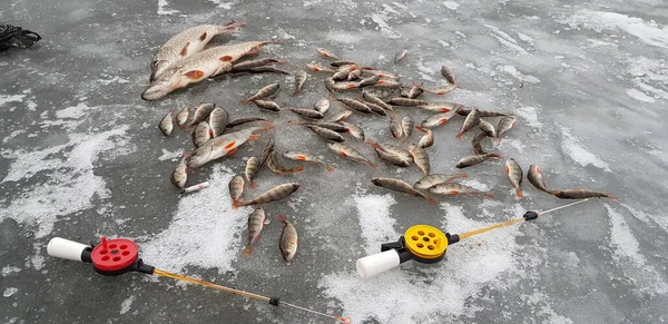 Pesca Gelo Tempo Frio — Fotografia de Stock