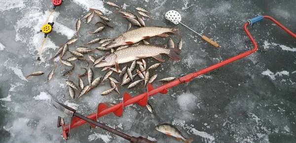 Pesca Hielo Clima Frío — Foto de Stock