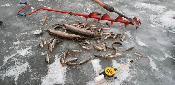 Pesca Hielo Clima Frío — Foto de Stock