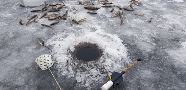 Льодова Рибалка Холодну Погоду — стокове фото