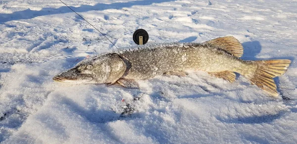 Зимняя Рыбалка Льду Холоде — стоковое фото