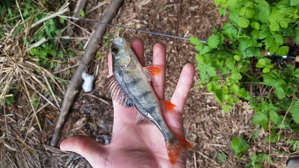 Pesca Fiação Rio — Fotografia de Stock