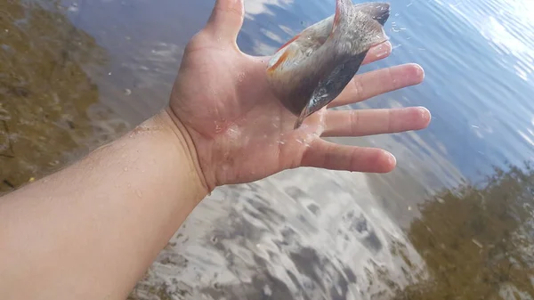 Pêche Pour Filer Sur Rivière — Photo