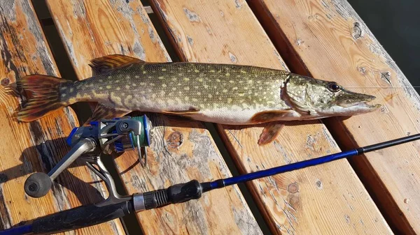 Pêche Pour Filer Sur Rivière — Photo