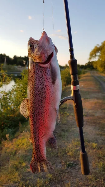 Fishing Spinning River — Stock Photo, Image