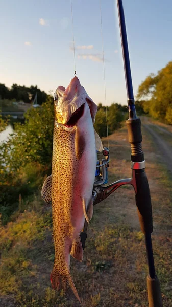 Fishing Spinning River — Stock Photo, Image