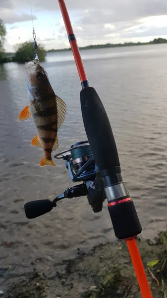 Pesca Para Spinning Río —  Fotos de Stock