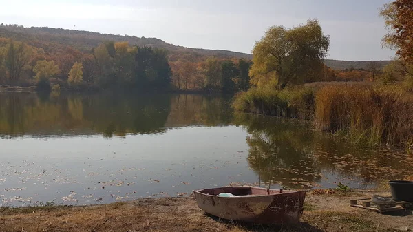 Nehirde Balık Avlamak — Stok fotoğraf