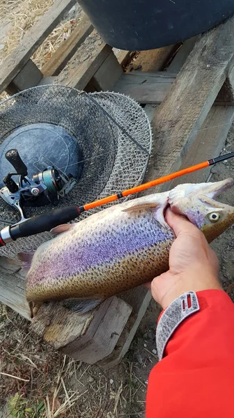 Pêche Pour Filer Sur Rivière — Photo