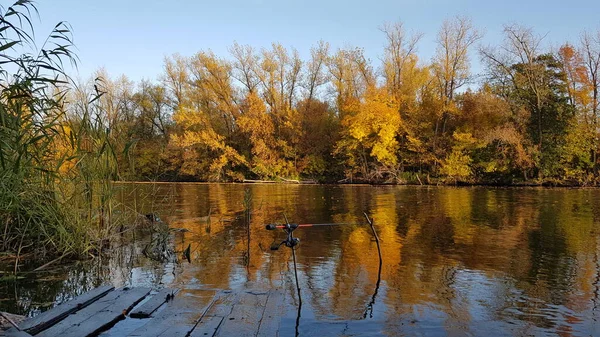 Vissen Spinning Rivier Stockfoto