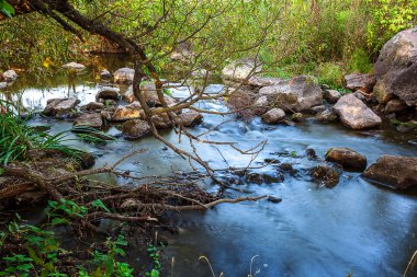 Taş rapids Nehri üzerinde.