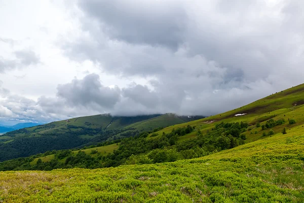 Wiese in den Bergen. Landschaft. — Stockfoto