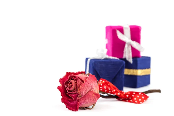 Gedroogde roze bloem en geschenkdoos. — Stockfoto