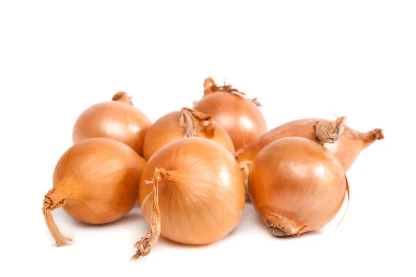 Bulbs of onion on white background. — Stock Photo, Image