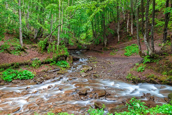 Řeka a dřevěný most v horách — Stock fotografie