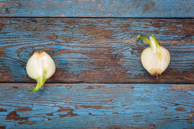 Ahşap kurullarında taze filizlenen soğan.