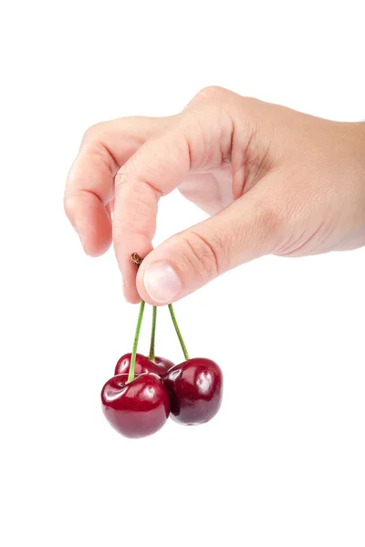 Cerises douces à la main féminine . — Photo