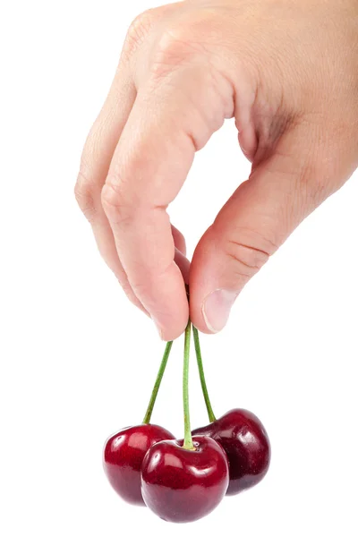 Sötkörsbär frukter i kvinnlig hand. — Stockfoto