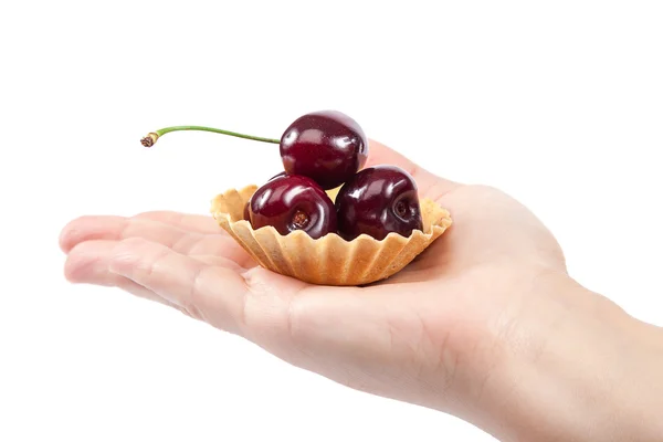 Sweet cherry ovoce v ženské ruce. — Stock fotografie