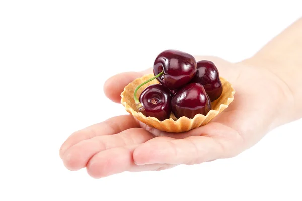 Sweet cherry ovoce v ženské ruce. — Stock fotografie