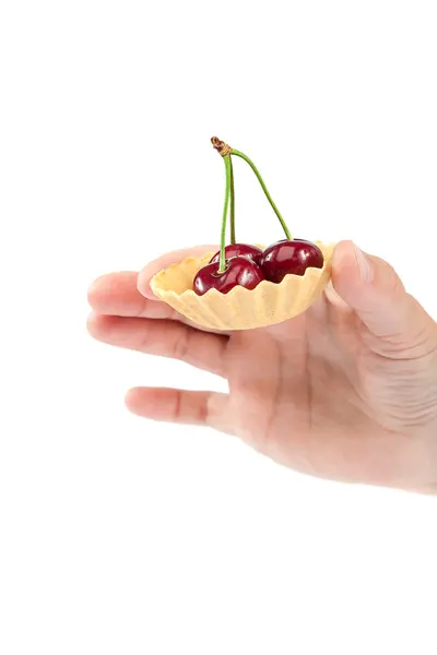Zoete kers vruchten in vrouwelijke hand. — Stockfoto