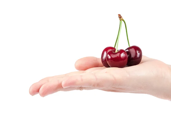 Sötkörsbär frukter i kvinnlig hand. — Stockfoto