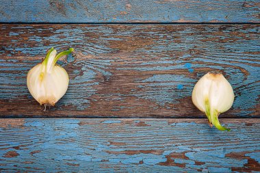 Ahşap kurullarında taze filizlenen soğan.