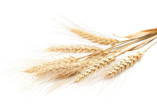 Sheaf Wheat Ears Isolated White Background — Stock Photo, Image