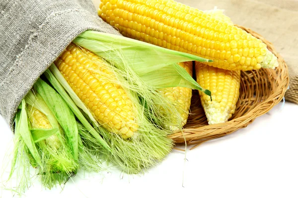 Mazorcas de maíz en saqueo en una canasta . —  Fotos de Stock