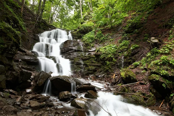 Cascada del bosque de montaña y arroyo en la primavera . — Foto de Stock