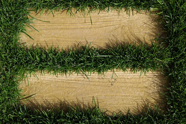 Prachtige groene gras textuur met lege ruimte voor tekst. — Stockfoto