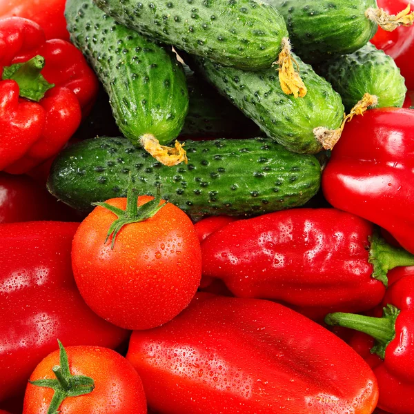 Pomodori, cetrioli e peperoni . — Foto Stock