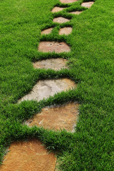 Kamienna ścieżka na zielonej trawie. — Zdjęcie stockowe