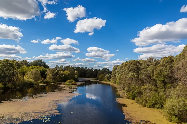 Landschap rivier en het bos op de achtergrond van een blauwe lucht met clou — Stockfoto