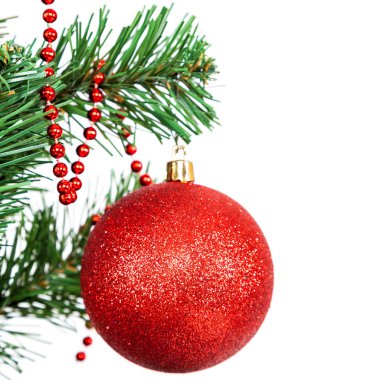 Beyaz zemin üzerinde bir Noel ağacının dalını üzerinde kırmızı top.